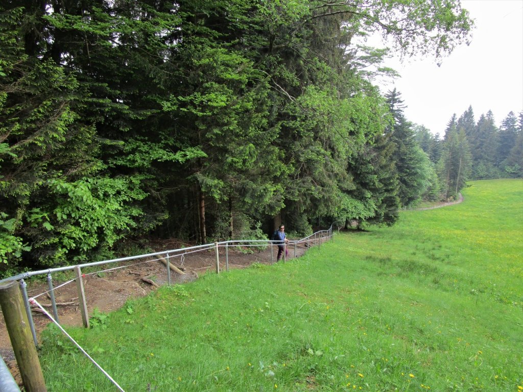 Zwischen Wald und Wiese führt der Weg ins Tal
